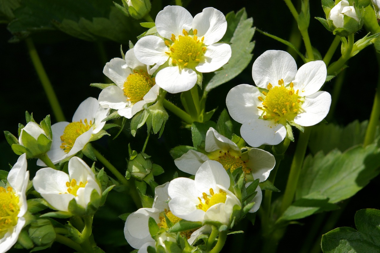 10 Ways to Celebrate Earth-Friendly Holidays